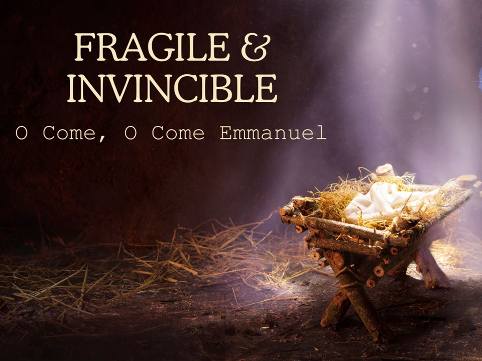 Sermon: Fragile & Invincible